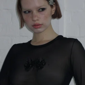 Named Collective Ghost Sheer Mesh Long Sleeve Black Top